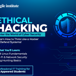 Become Ethical Hacker - Cyber Security, Network Analysis & Web Exploitation